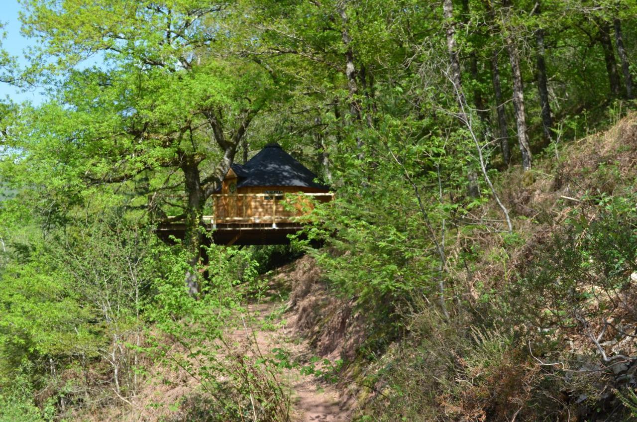 Ma Cabane En Aveyron Conques-en-Rouergue Buitenkant foto