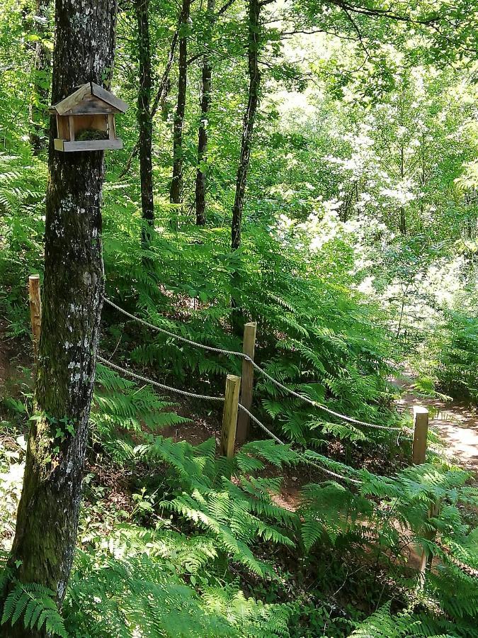 Ma Cabane En Aveyron Conques-en-Rouergue Buitenkant foto